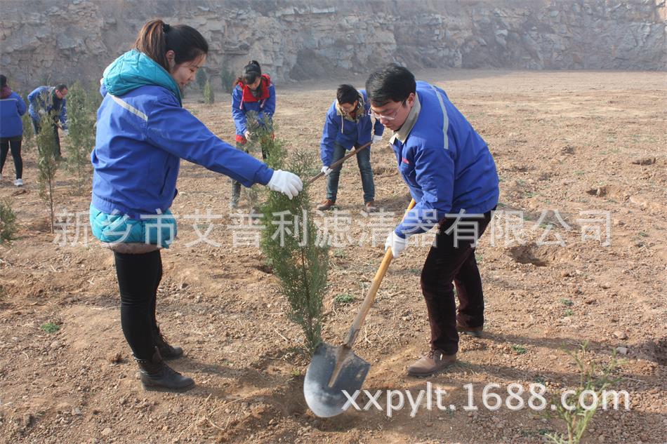 艾普利鳳凰山植樹，為美麗新鄉(xiāng)添新綠(圖2)